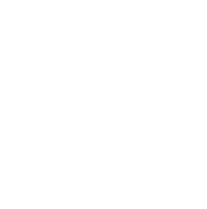 I Lost My Dog